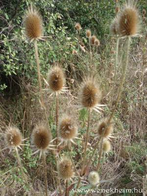 Nagyobb m�ret� k�p megtekint�se.